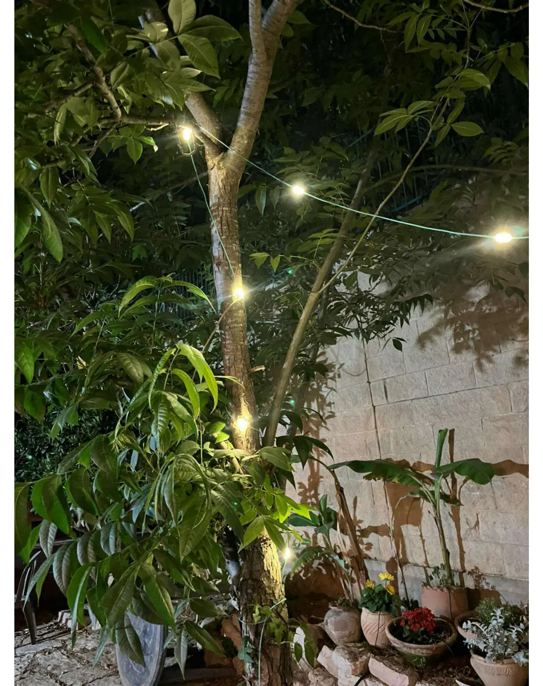 שרשרת לדים נטענת סולארית